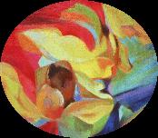 x507Eclosion2196361x50